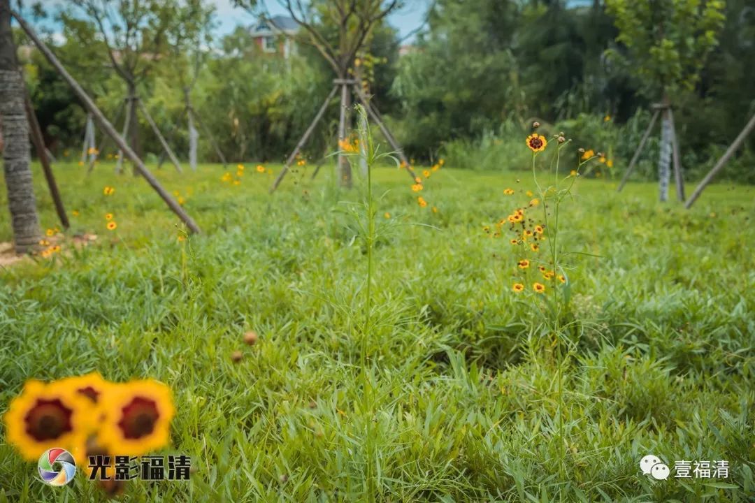 福清大真线沿线大变样！风景太美！一起来感受下