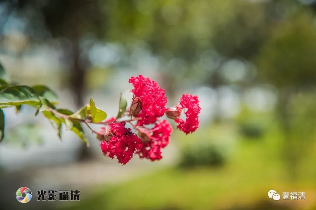 福清大真线沿线大变样！风景太美！一起来感受下