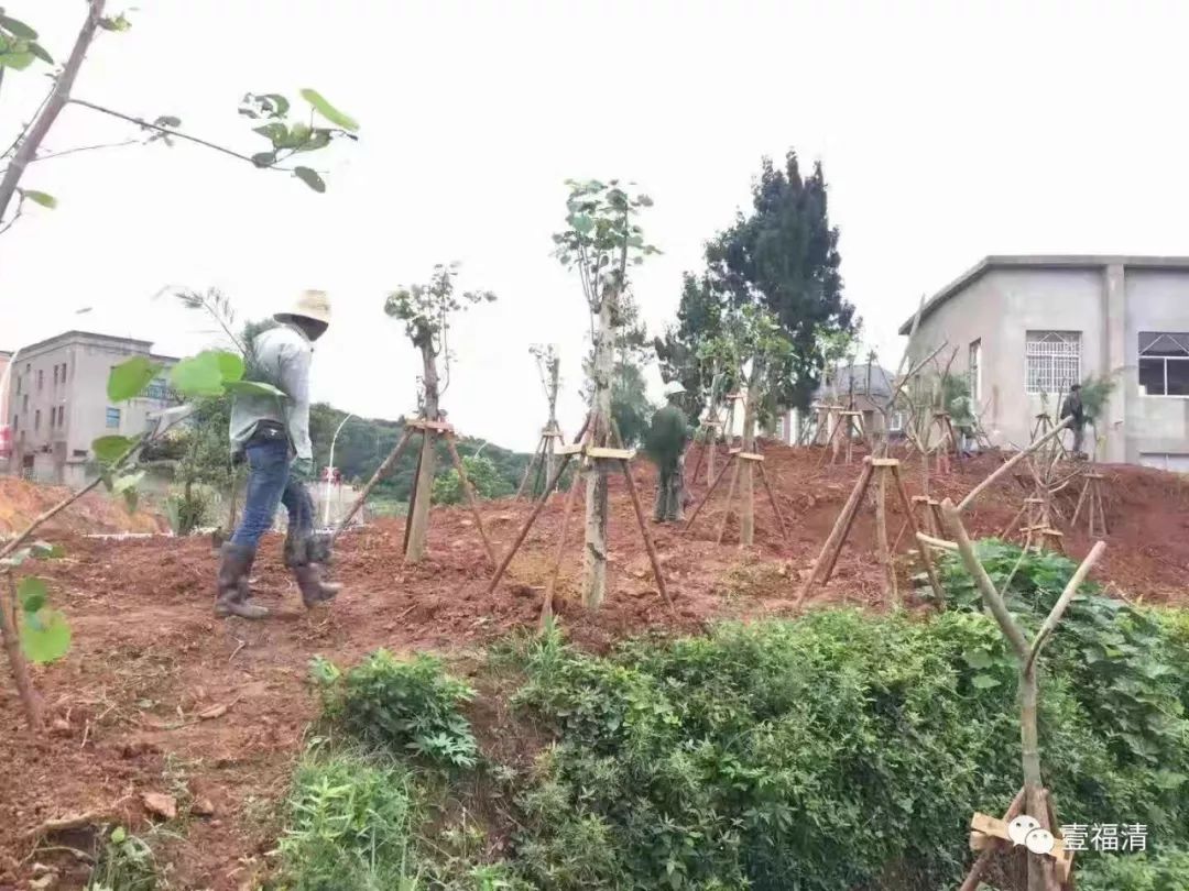 福清大真线沿线大变样！风景太美！一起来感受下