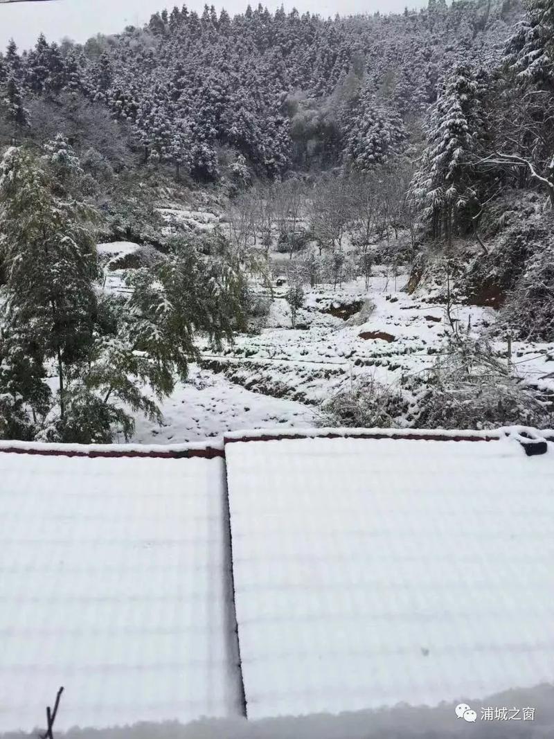 福建首场降雪，美翻了！福州今晚最低温跌破0℃