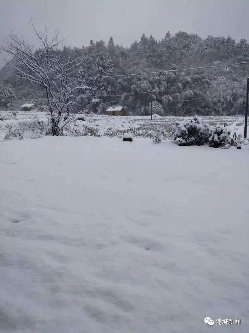 福建首场降雪，美翻了！福州今晚最低温跌破0℃