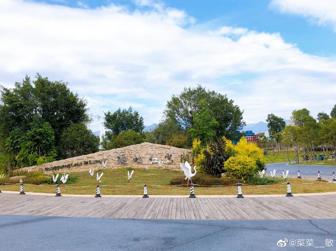 五月，来一场说走就走的“野餐之旅”