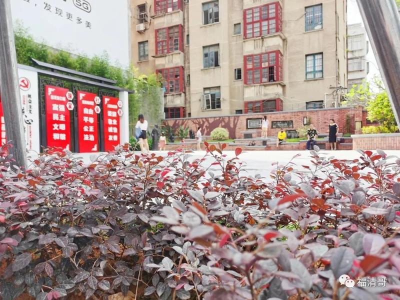 福清今年预计完成25个“口袋公园”，在你家附近吗？
