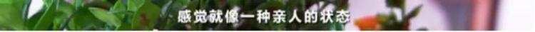 警惕！朋友圈“9块9”网购水果，有人被坑了40万元