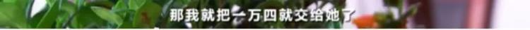 警惕！朋友圈“9块9”网购水果，有人被坑了40万元