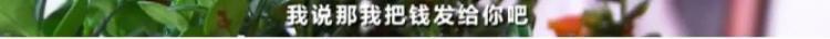 警惕！朋友圈“9块9”网购水果，有人被坑了40万元